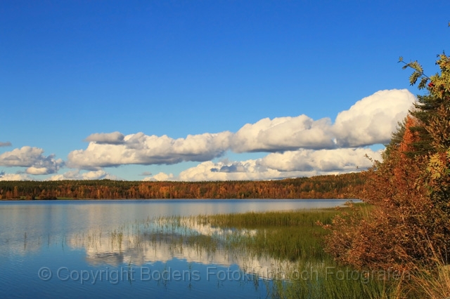 4-hostdag i vittjarv.jpg - Höstdag i Vittjärv